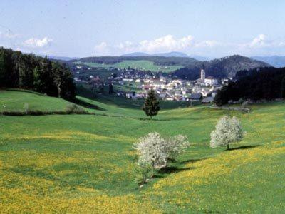 Garni Waldfrieden Hotel Castelrotto Bagian luar foto